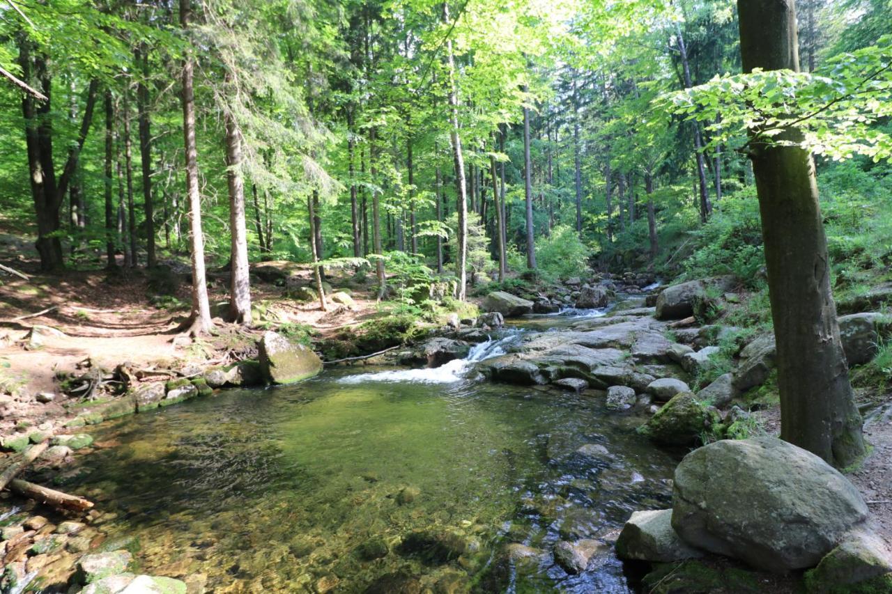 Pokoje Goscinne Dolina Czerwienia Przesieka Exterior photo